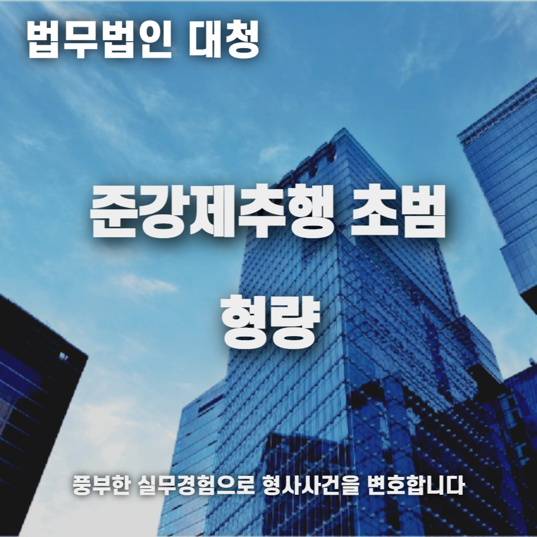 준강제추행 초범