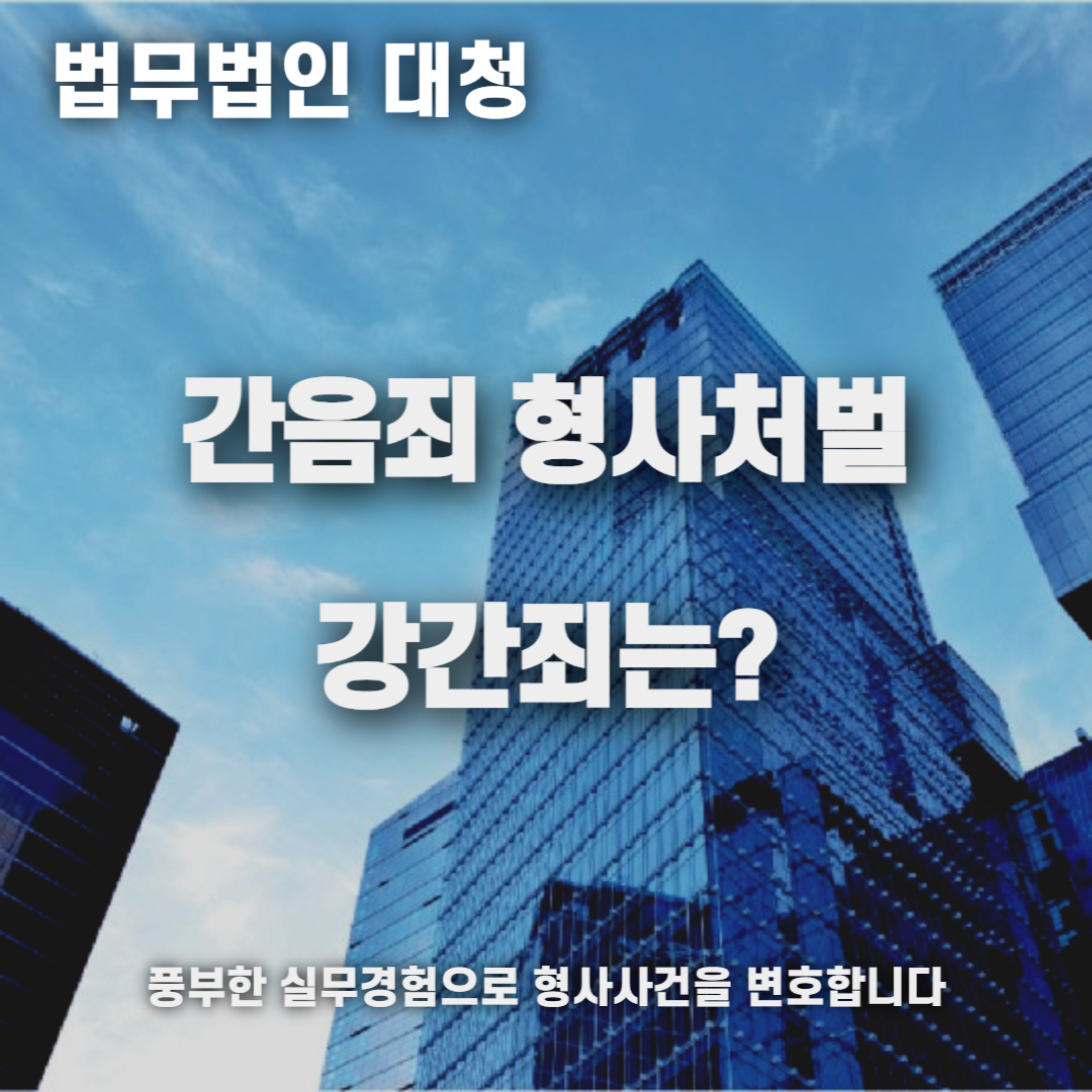 간음죄 형사처벌 강간죄