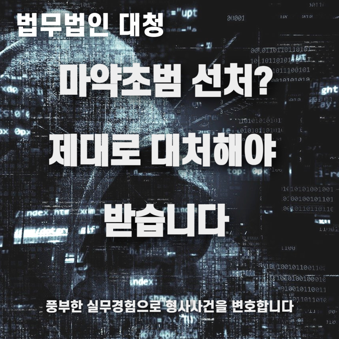 마약초범 선처