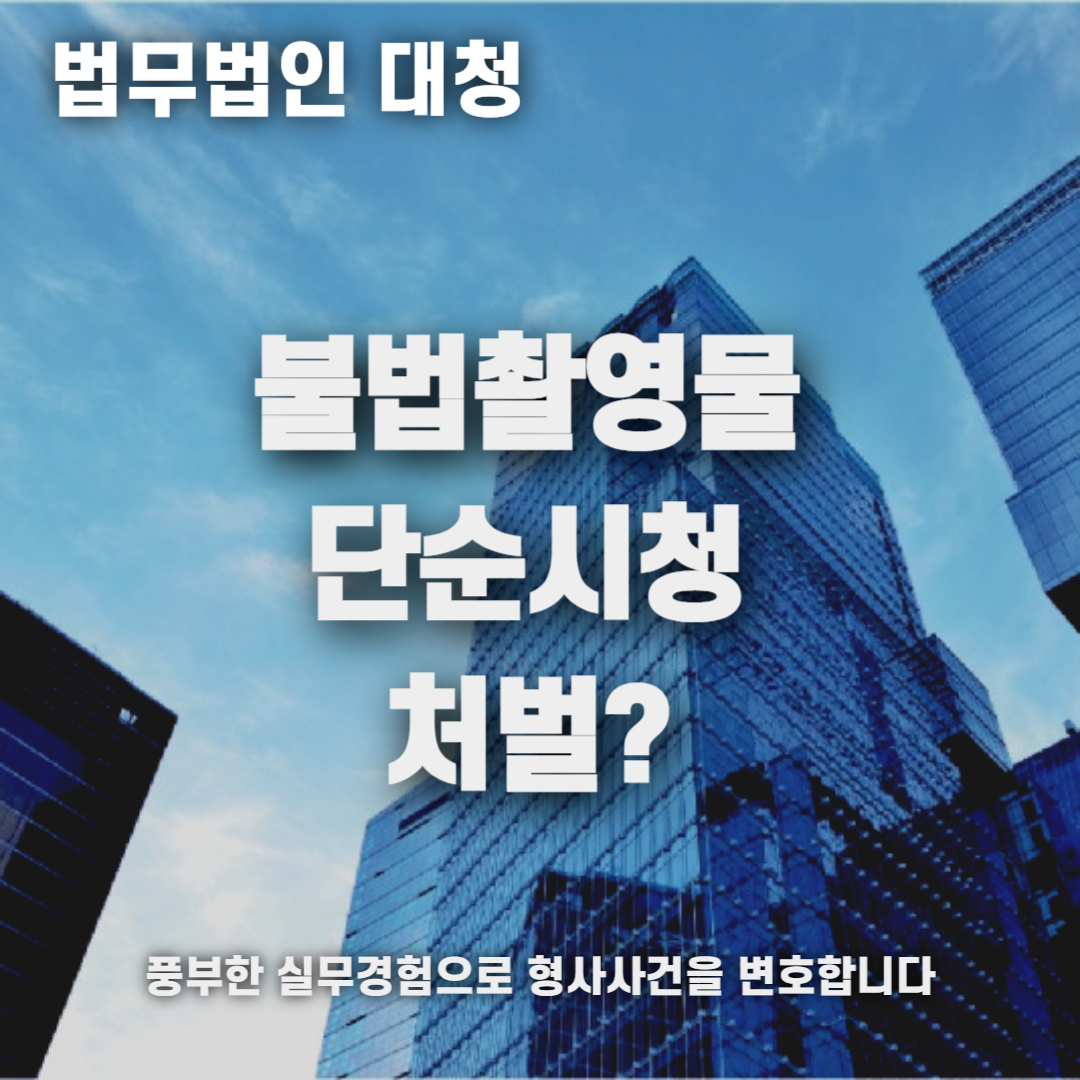 불법촬영물 시청 처벌