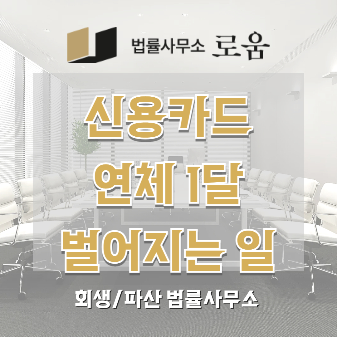 신용카드 연체 1달 신용카드 연체 후기 디시